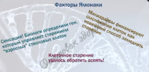 Инновационная формула омоложения.  Сенсация.